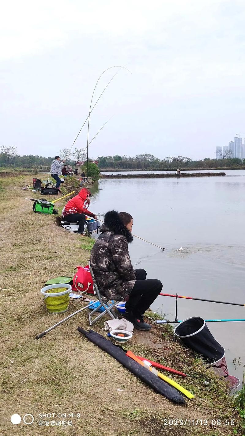 一天当中钓草鱼最佳时间