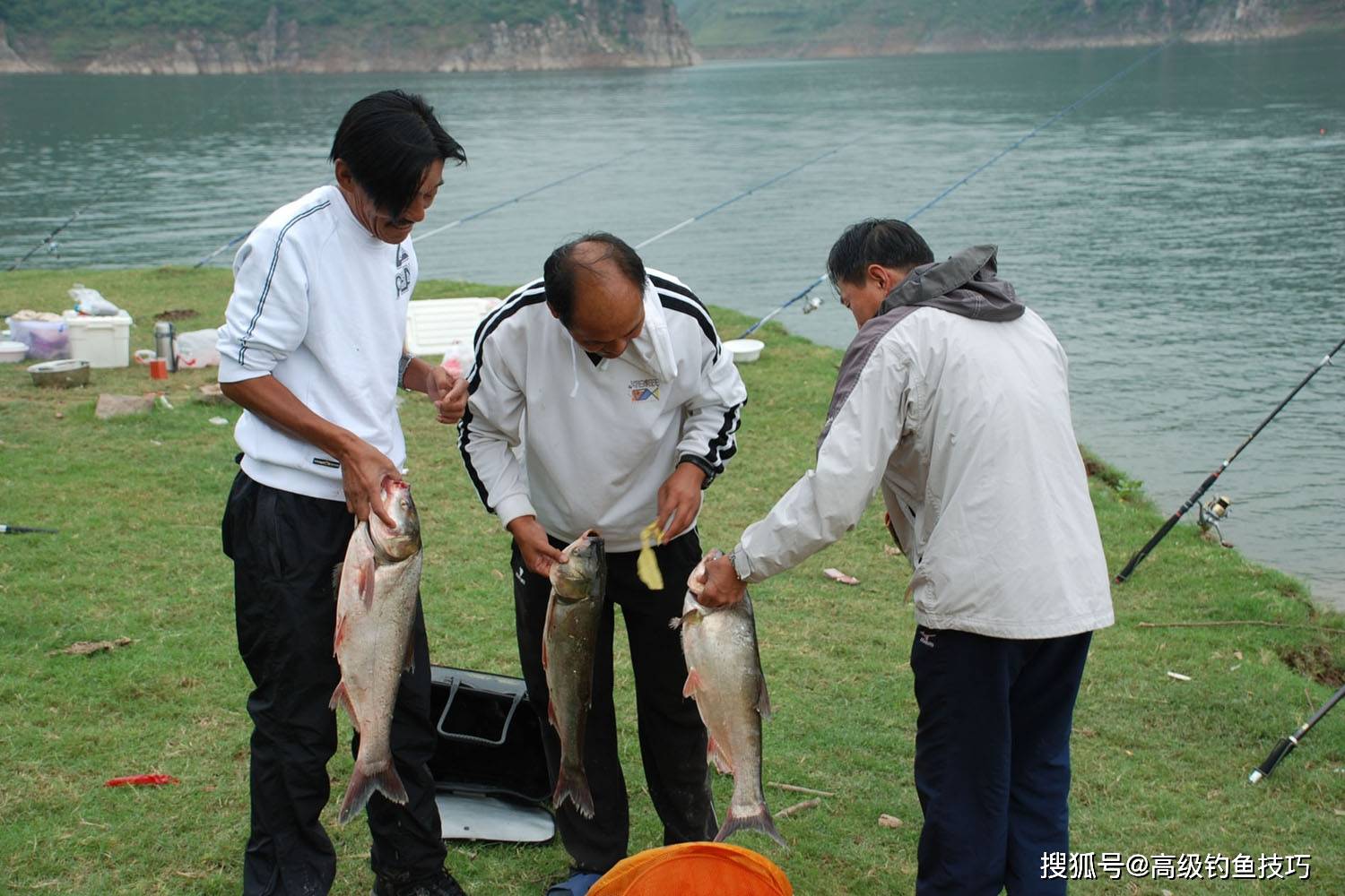 自制野钓鱼食