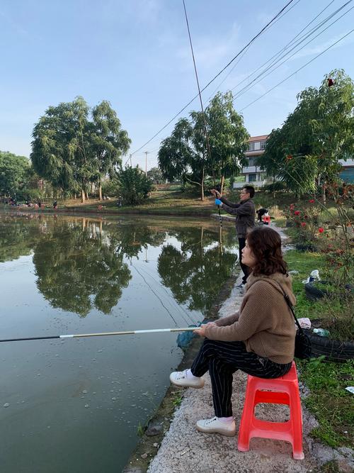 鲤鱼吸水的咬怎么做