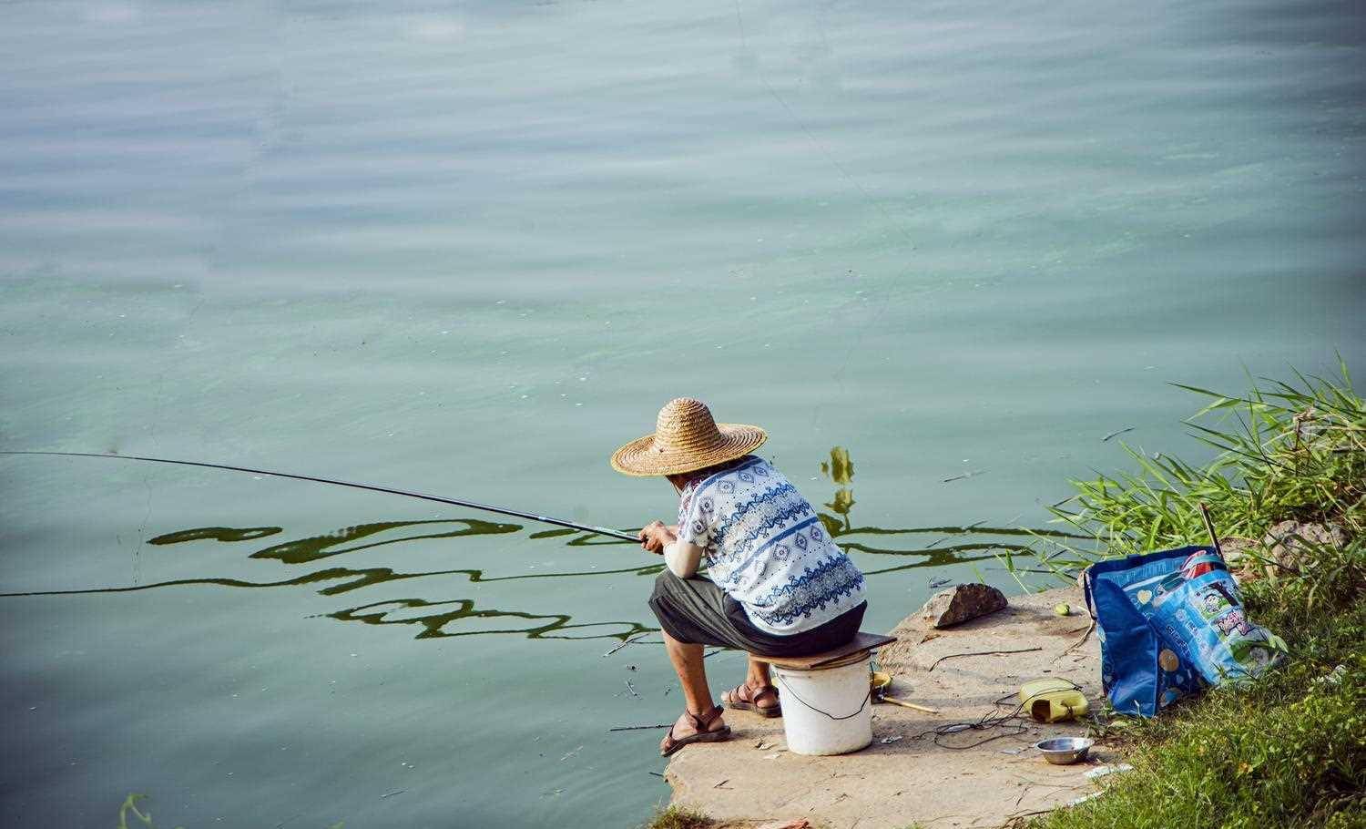 怎么专钓鲫鱼不上罗非